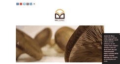 Desktop Screenshot of micotec.net